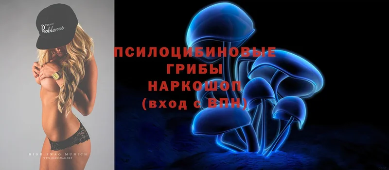 это наркотические препараты  Саратов  Галлюциногенные грибы Psilocybine cubensis  что такое наркотик 